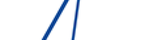 logo-cariboni